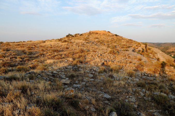 5. Alcañiz el Viejo, 2010