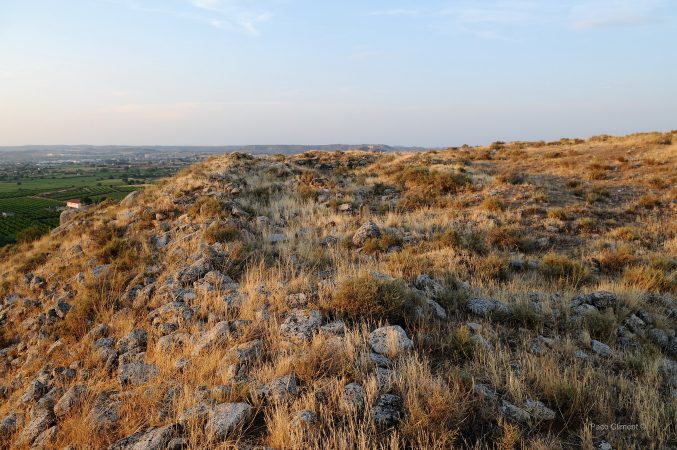 6. Alcañiz el Viejo, 2010