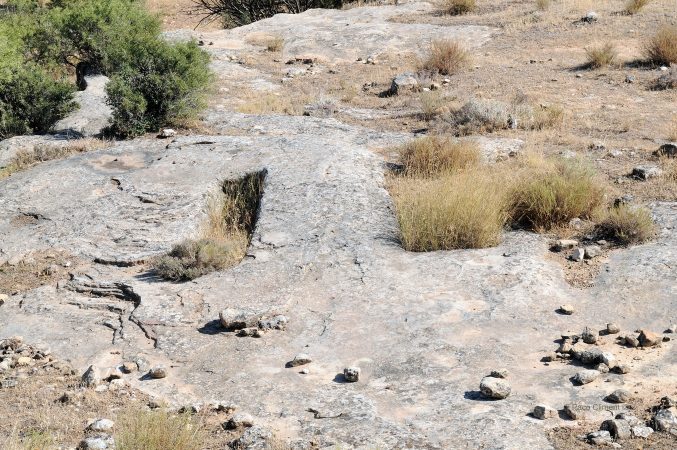 3. Alcañiz el Viejo, 2010