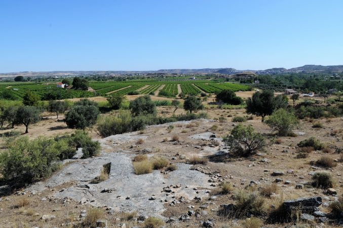 2. Alcañiz el Viejo, 2010