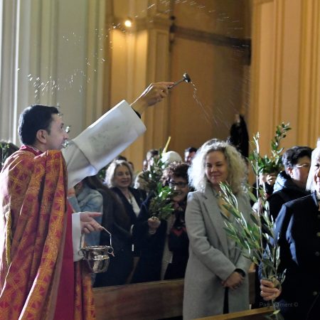 1. Domingo de Ramos, 2024