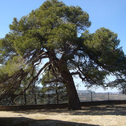 catalogo_paisajistico