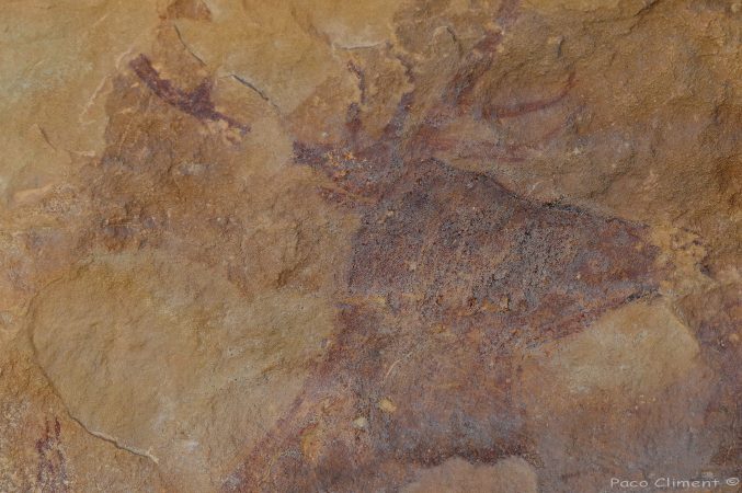 6. Val del Charco, 2010