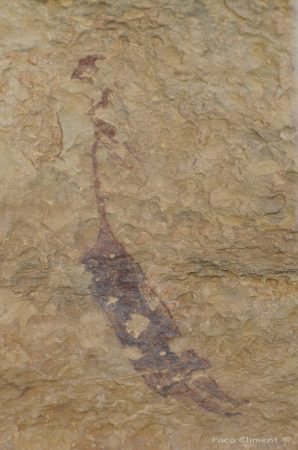 7. Val del Charco, 2010