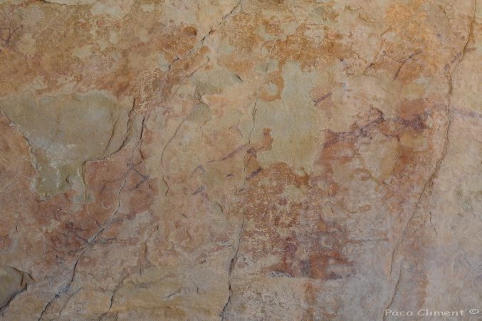 4. Val del Charco, 2010