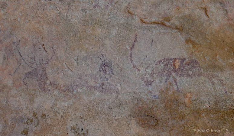 5. Val del Charco, 2010